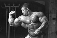 Dorian Yates Kingdom